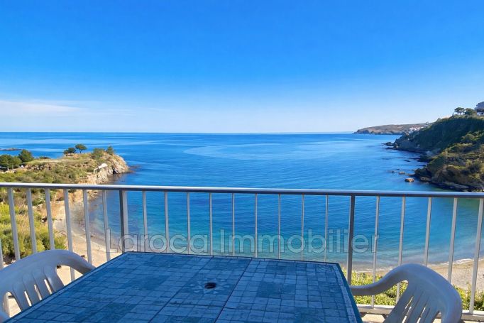 A louer APPARTEMENT T3 44 M2 TERRASSE PIEDS DANS L'EAU BANYULS SUR MER