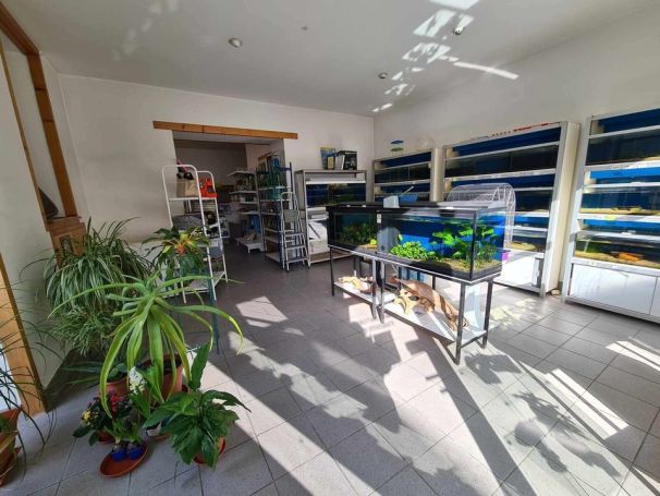 A louer APPARTEMENT T6 180 M2 BORD DE MER PAUILLAC