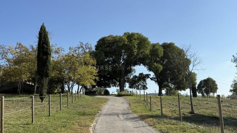 A louer APPARTEMENT DE PRESTIGE  597 M2 TERRASSE  SOMMIERES