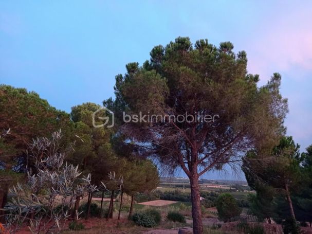 A vendre MAISON  6 PIECES 150 M2  MARAUSSAN