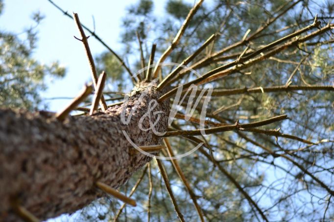 A vendre belle propriete 7 pieces 213 m&sup2; ARES