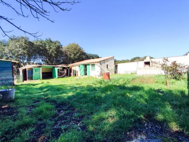 A louer MAISON  5 PIECES 130 M2  LA BOISSIERE