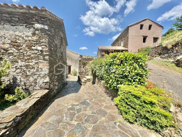 A louer APPARTEMENT DUPLEX  285 M2 TERRASSE  LE VIGAN