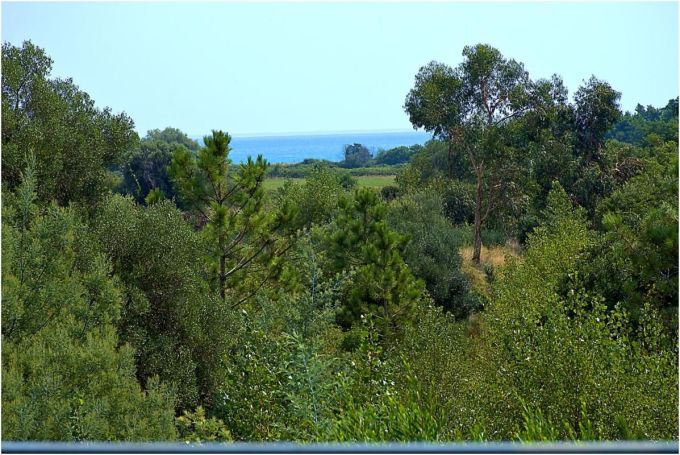 A louer MAISON  7 PIECES 250 M2 PLAGE à PIED SOLARO