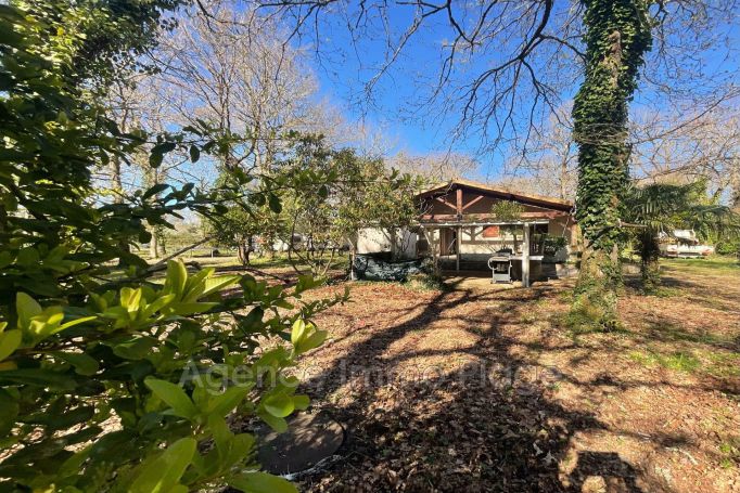 A vendre MAISON  3 PIECES 80 M2  SAINT VIVIEN DE MEDOC campagne