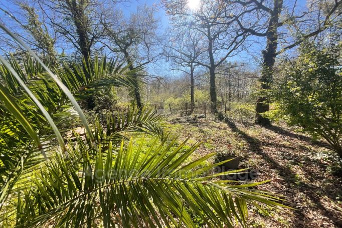 A vendre MAISON  3 PIECES 80 M2  SAINT VIVIEN DE MEDOC campagne