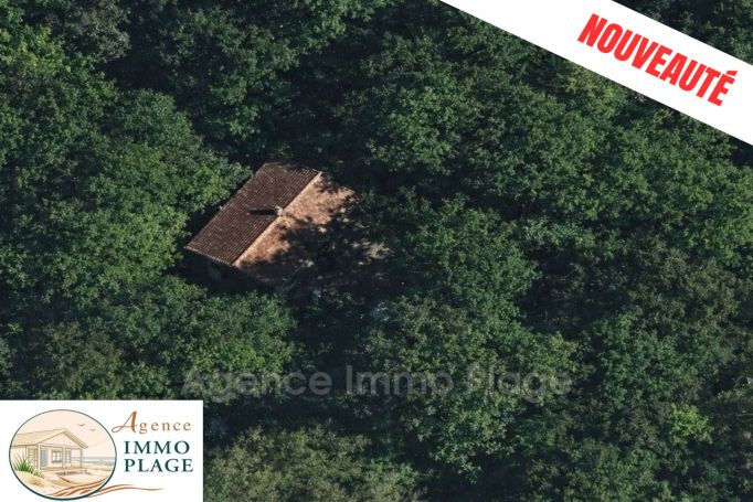 A vendre MAISON  3 PIECES 80 M2  SAINT VIVIEN DE MEDOC campagne