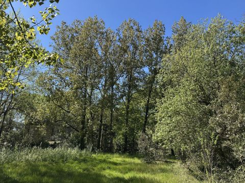 A vendre Au coeur d'une nature préservée 85270 Saint-Hilaire-de-Riez