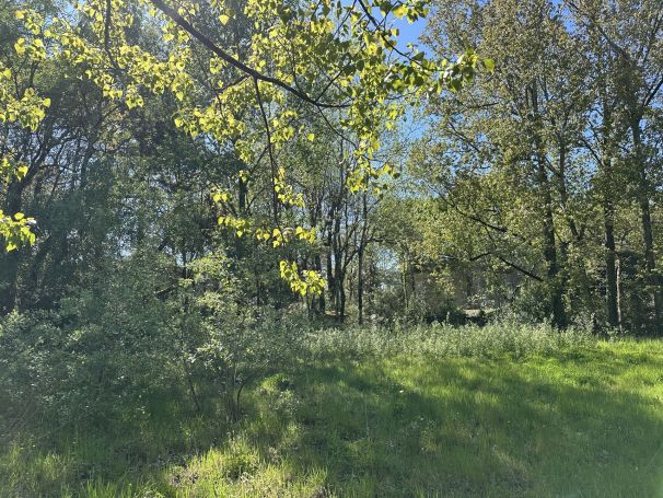 A vendre Au coeur d'une nature pr&Atilde;&copy;serv&Atilde;&copy;e 85270 Saint-Hilaire-de-Riez