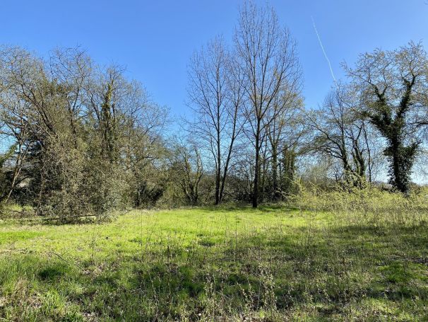 A vendre Au coeur d'une nature pr&Atilde;&copy;serv&Atilde;&copy;e 85270 Saint-Hilaire-de-Riez