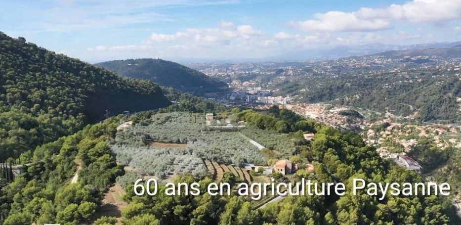 A louer PENTHOUSE DE PRESTIGE T6 PIEDS DANS L'EAU LA TRINITE