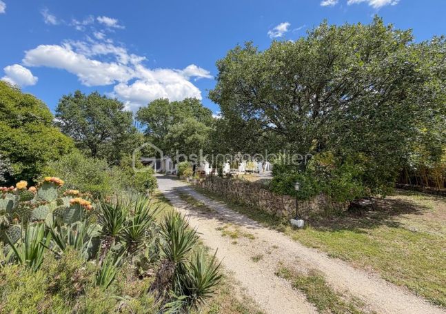 A vendre MAISON  6 PIECES 222 M2  SAINT MATHIEU DE TREVIERS