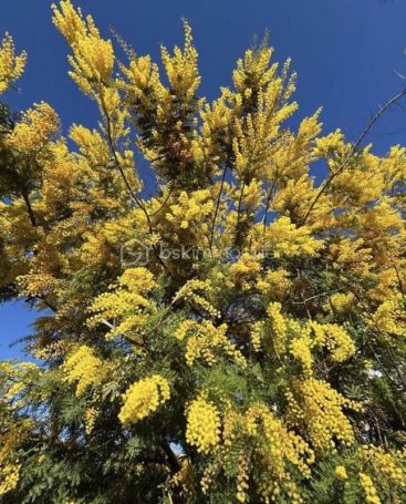 A louer APPARTEMENT DUPLEX DE PRESTIGE T6 154 M2 TERRASSE  SALON DE PROVENCE