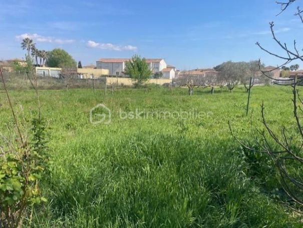 A vendre MAISON  5 PIECES 126 M2  MONTADY