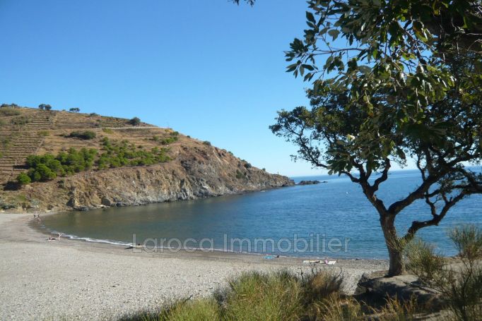 A louer APPARTEMENT DUPLEX 37 M2 TERRASSE PIEDS DANS L'EAU CERBERE