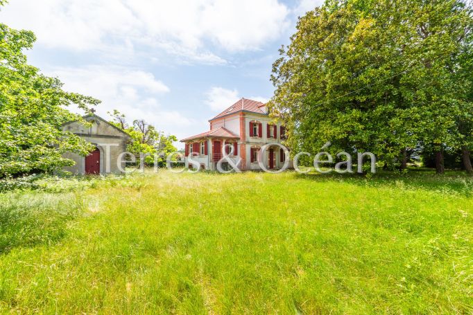A louer MAISON  DE MAîTRE BORD DE MER MESSANGES