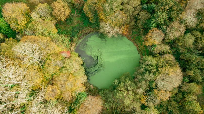 A vendre PROPRIETE de charme en pierreS plage A&nbsp; pied TREGASTEL
