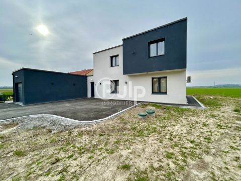 A louer MAISON  CONTEMPORAINE  MAZINGARBE