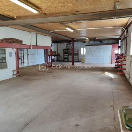 A vendre LOFT  147 M2 TERRASSE  ILLE SUR TET