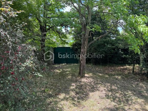 A louer MAISON  DE MAîTRE  SAINT SEURIN SUR L ISLE