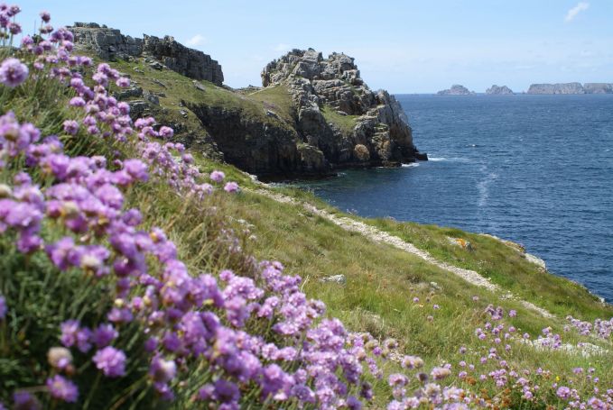 A vendre propriete pour gites et hebergements insolites cap de la chevre MORGAT CROZON