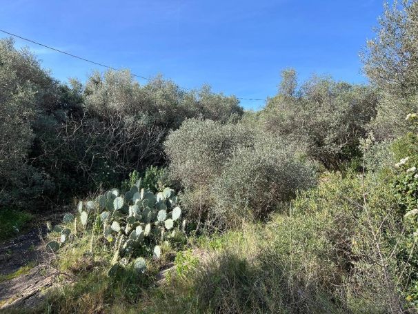 A vendre TERRAIN 617 M2 BORD DE MER LA CIOTAT