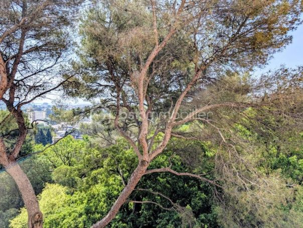 A louer APPARTEMENT T4 69 M2 BORD DE MER CANNES