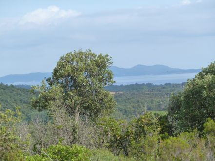 LA LONDE LES MAURES TERRAIN 18200 m² ZONE NATURELLE BOISEE 83250 La Londe-les-Maures