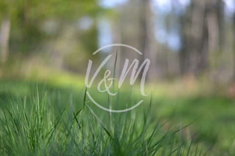 A vendre TERRAIN CONSTRUCTIBLE 410 M² COTE BASSIN ARES