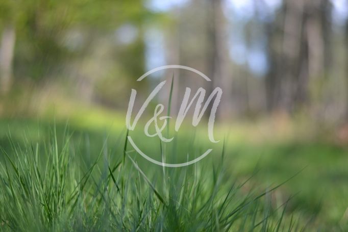 A vendre TERRAIN CONSTRUCTIBLE 410 M² COTE BASSIN ARES