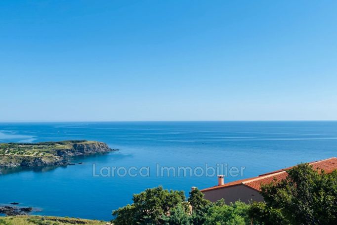 A vendre MAISON  4 PIECES 100 M2 VUE MER CERBERE