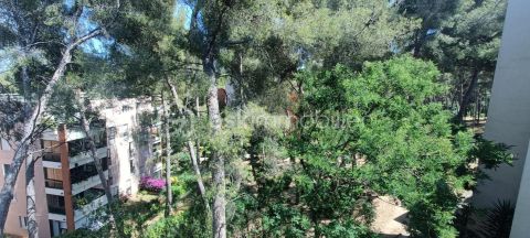 A louer APPARTEMENT T5 96 M2 BORD DE MER LA SEYNE SUR MER