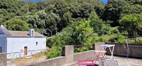 A louer MAISON DE MAîTRE BORD DE MER BARRETTALI