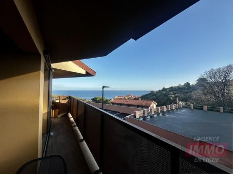 APPARTEMENT T2 43 M2 TERRASSE VUE MER COLLIOURE