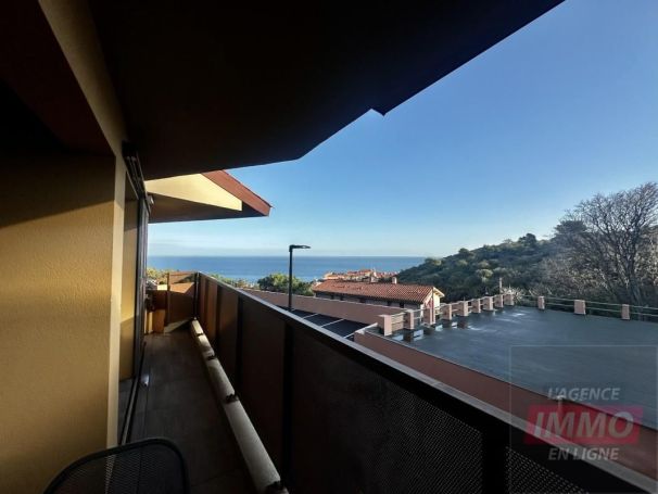 APPARTEMENT T2 43 M2 TERRASSE VUE MER COLLIOURE