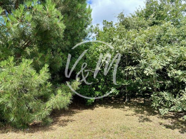 A vendre  superbe terrain arbor&eacute; 1000&sup2; proche bassin cassy Lanton