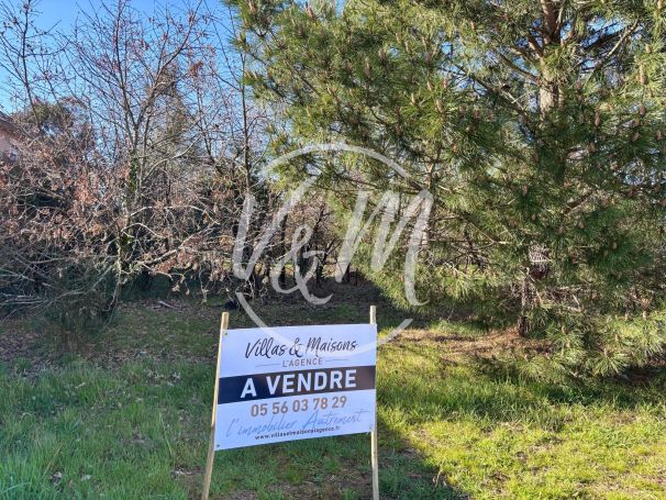 A vendre  superbe terrain arbor&eacute; 1000&sup2; proche bassin cassy Lanton