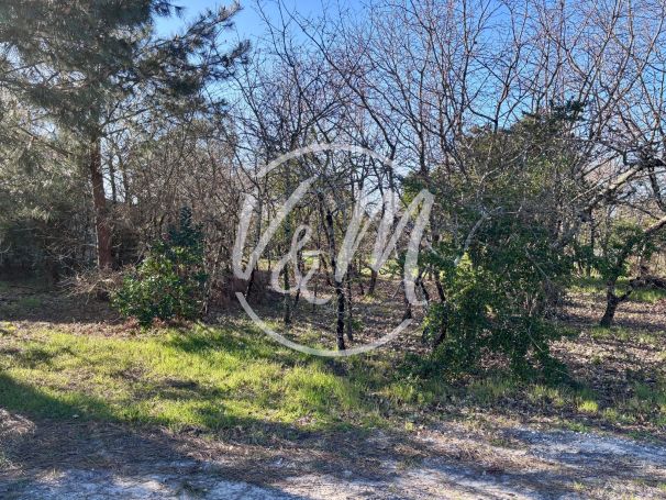 A vendre  superbe terrain arbor&eacute; 1000&sup2; proche bassin cassy Lanton