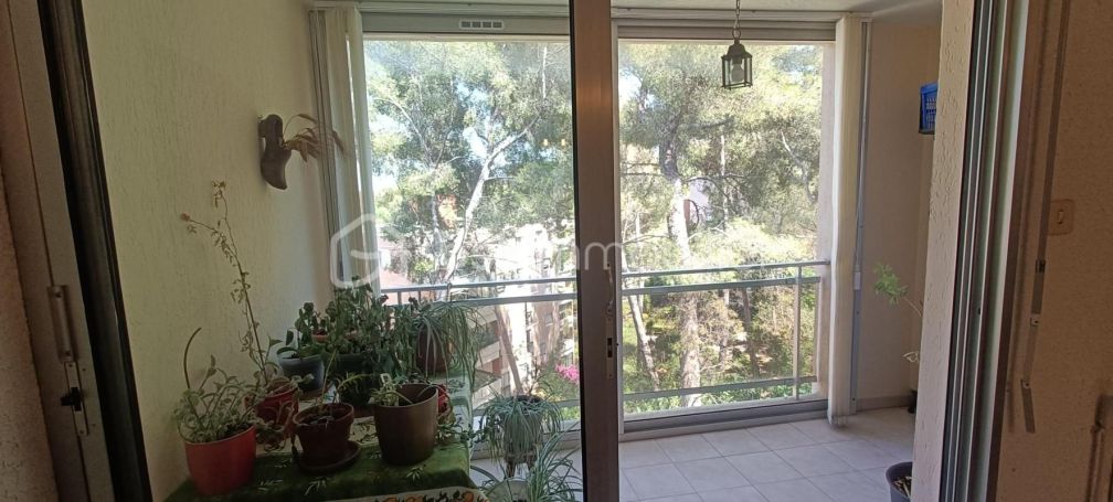 A louer APPARTEMENT T5 96 M2 TERRASSE BORD DE MER LA SEYNE SUR MER