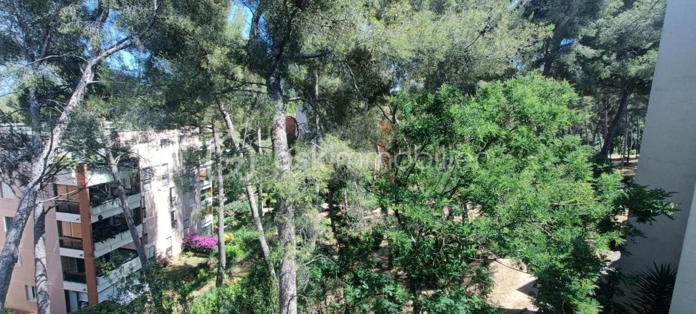A louer APPARTEMENT T5 96 M2 TERRASSE BORD DE MER LA SEYNE SUR MER