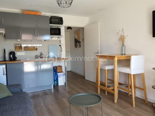 A louer STUDIO  20 M2 TERRASSE PLAGE à PIED CANET EN ROUSSILLON