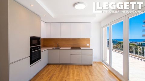 A louer PENTHOUSE T3 55 M2 TERRASSE VUE MER NICE