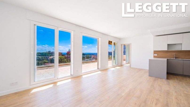 A louer PENTHOUSE T4 78 M2 TERRASSE VUE MER NICE