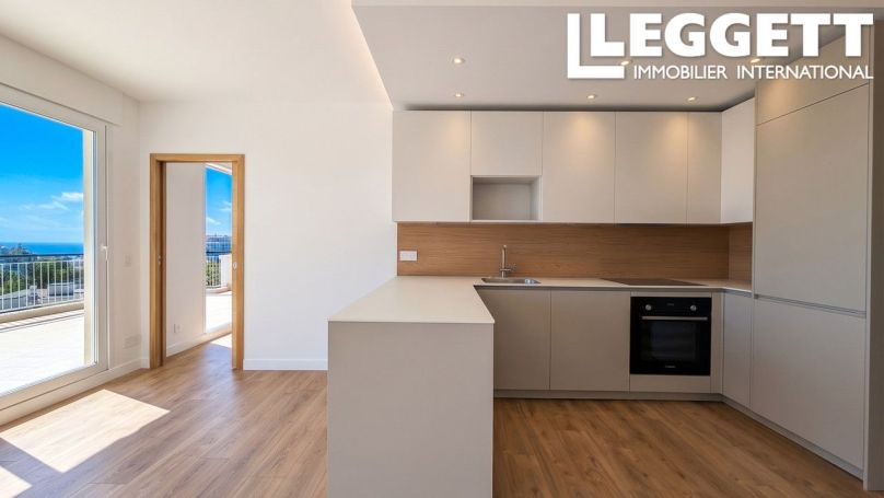 A louer PENTHOUSE T4 78 M2 TERRASSE VUE MER NICE