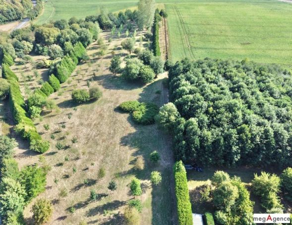 A vendre GîTE  HEDAUVILLE
