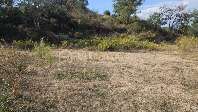A louer MAISON  1 650 M2  VIDAUBAN
