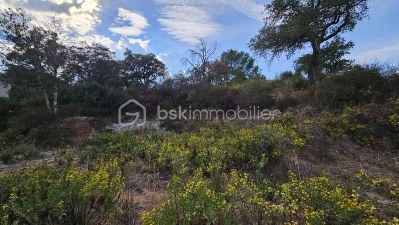 A louer MAISON  1 400 M2  VIDAUBAN