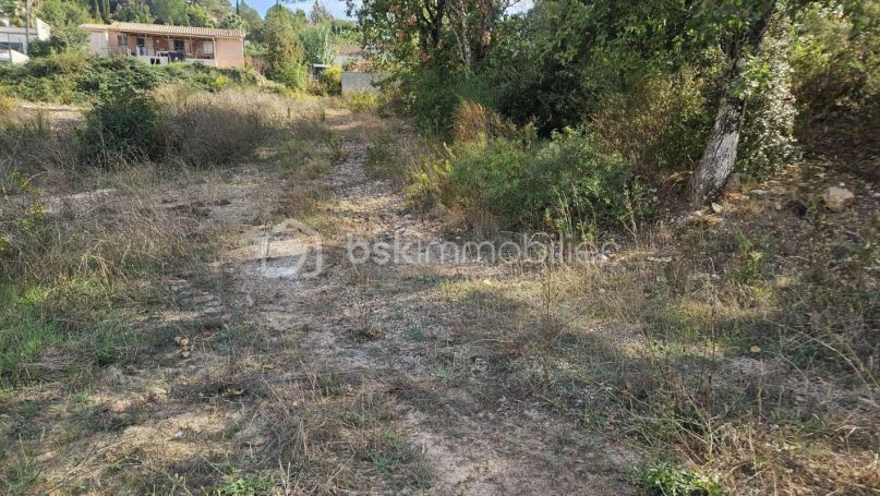A louer MAISON  1 400 M2  VIDAUBAN