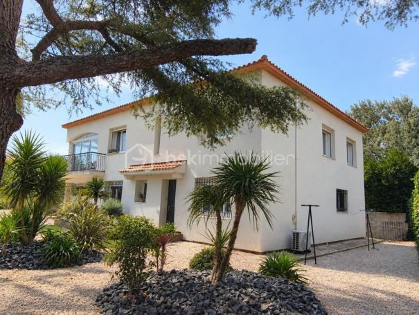 A louer MAISON  9 PIECES 162 M2  PUISSERGUIER