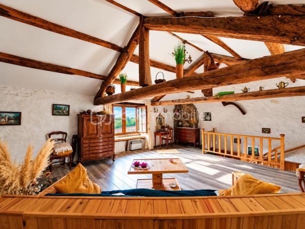 A louer MAISON  DE MAîTRE  SAINT PONS DE THOMIERES